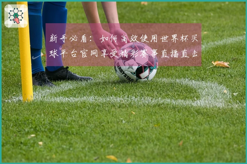 新手必看：如何高效使用世界杯买球平台官网享受精彩赛事直播直击