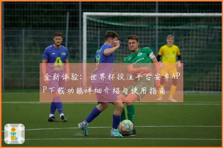 全新体验：世界杯投注平台安卓APP下载功能详细介绍与使用指南