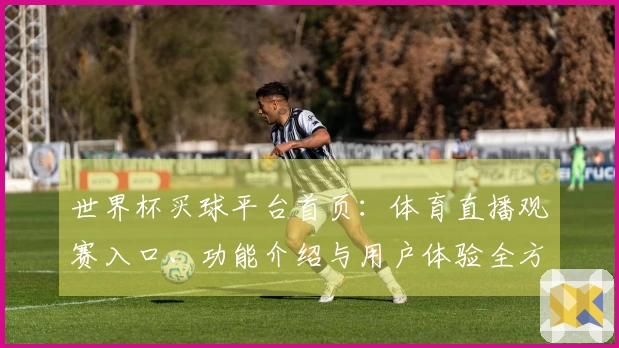 世界杯买球平台首页：体育直播观赛入口、功能介绍与用户体验全方位指南