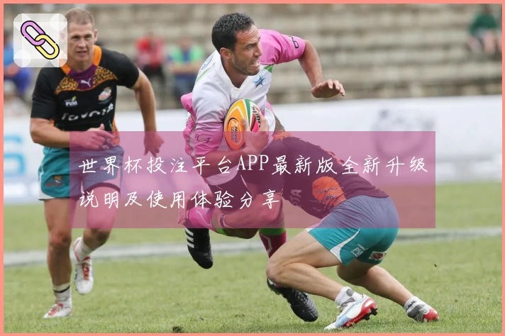 世界杯投注平台APP最新版全新升级说明及使用体验分享