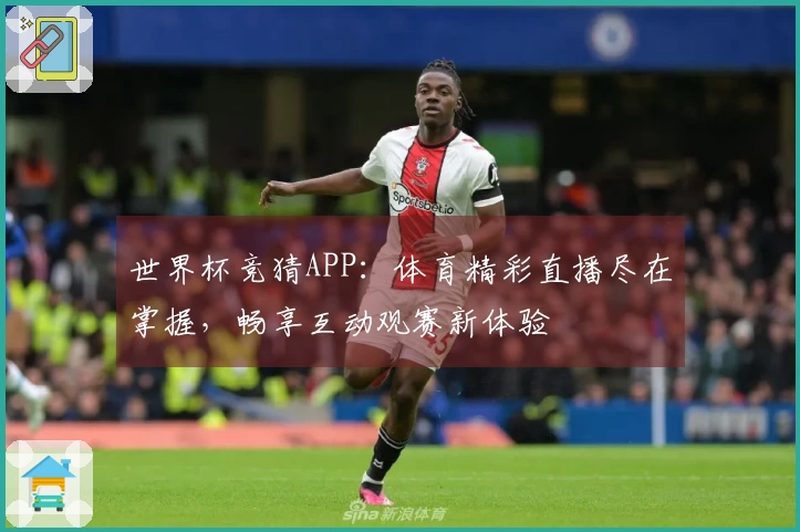 世界杯竞猜APP：体育精彩直播尽在掌握，畅享互动观赛新体验